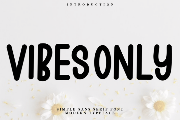 Vibes Only: A Festive Display Font for Holiday Campaigns